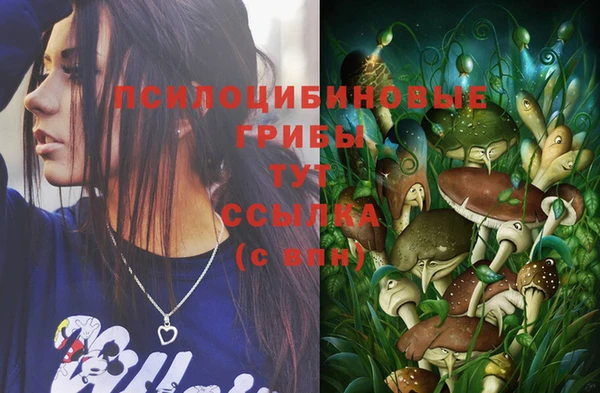 гашик Тихорецк