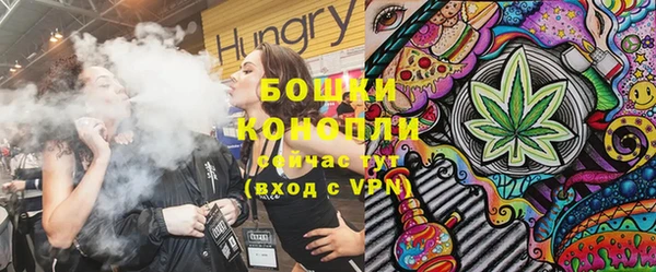 дурь Тайга
