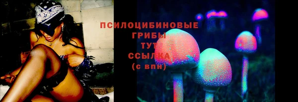 герыч Гусь-Хрустальный