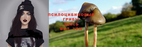 MESCALINE Верея